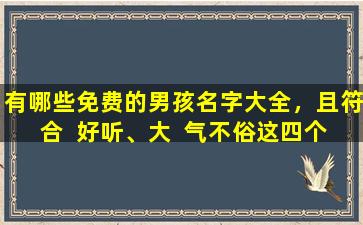 有哪些免费的男孩名字大全，且符合  好听、大  气不俗这四个标准